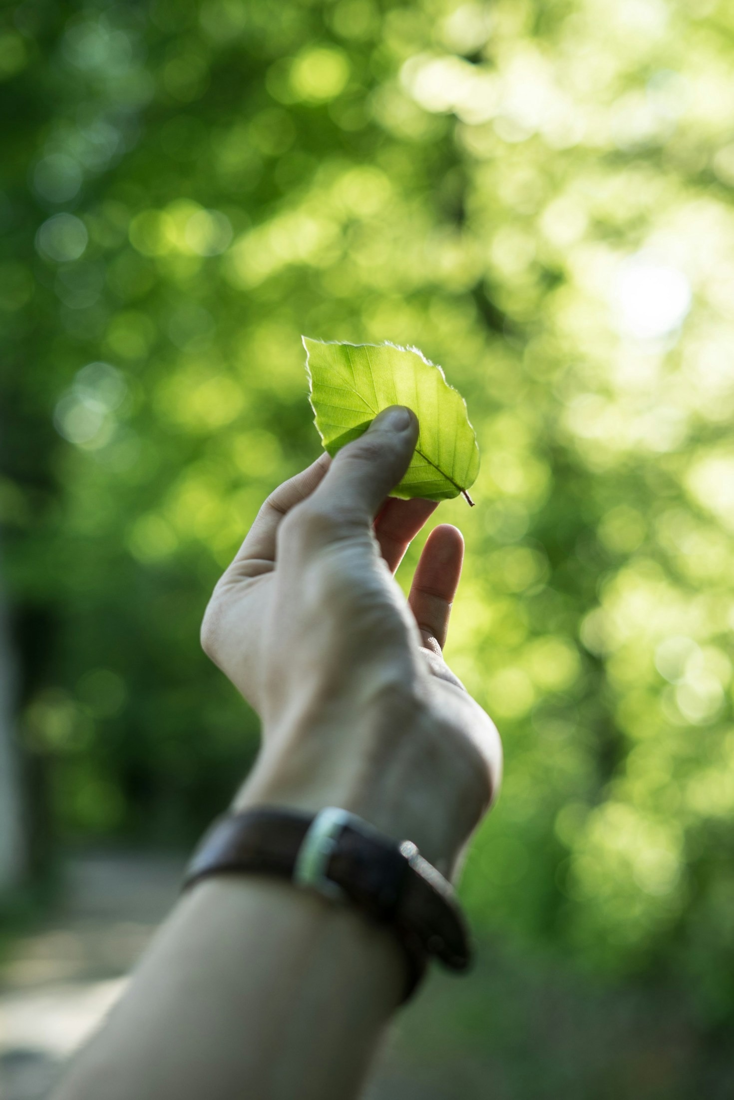 How Local Events Drive Eco-Innovation in Shropshire